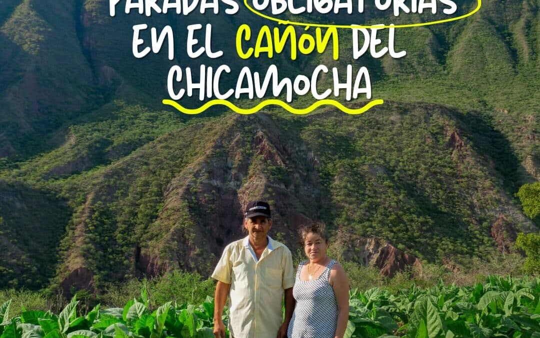 10 Experiencias que debes vivir en el Cañón del Chicamocha 📝⛰️